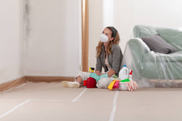 Reliable Basement Mold Remediation contractor in Forest Lake, IL by WQB Mold Removal